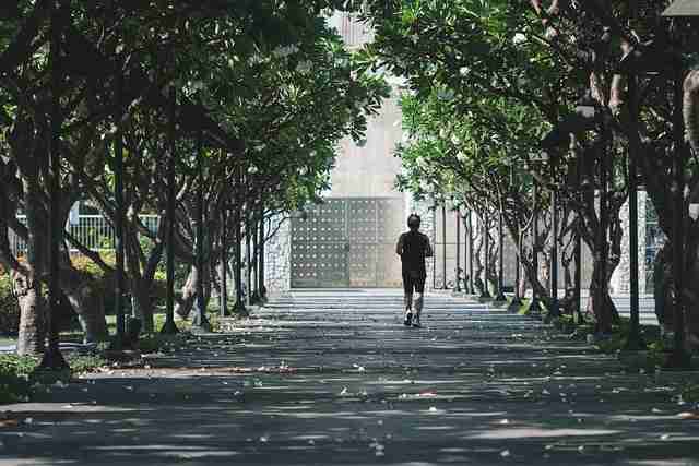 蘑菇影视官网沉浸式安装追剧必备(最新版)