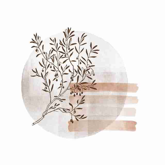 高能：黑料每日最新动态（干货分享）